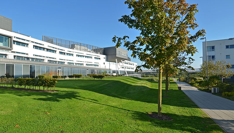 Panorama of  University Campus 