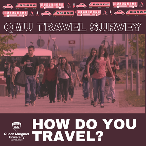 性用社 Travel Survey Blog image